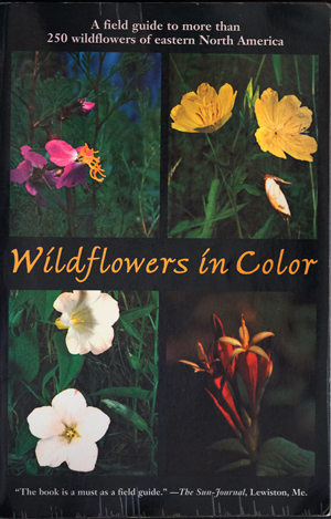 Wildflowers in Color
